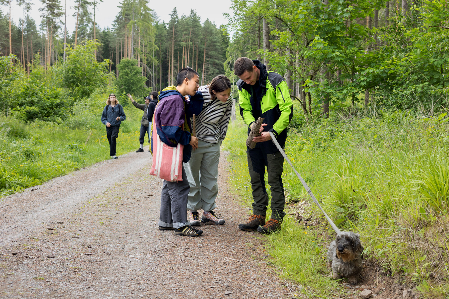 christian doeller forest reset forester